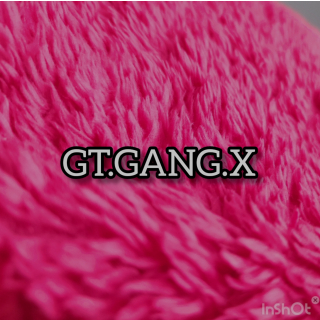 GT.GANG.X