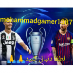 mohammadgamer1387