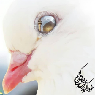 H.roshan.18