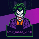 amir_maze_2020