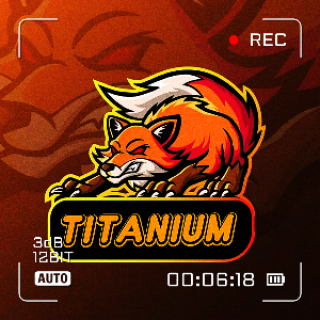 TITANIUM GAMING