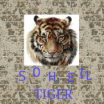 Soheil TIGER