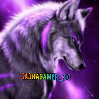 sadragamersg