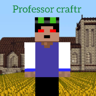 Professor craftr