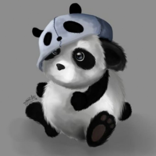 ☯︎ Panda 12 ☯︎