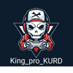 King_pro_KURD