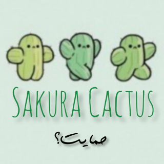 ساکورا کاکتوس_sakura cactus :) جدیدم D: