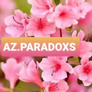 AZ.PARADOXS