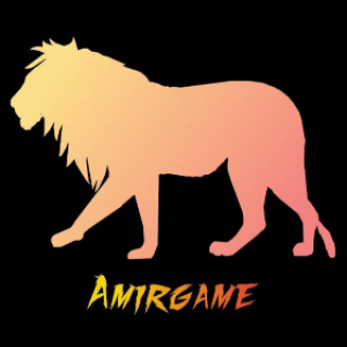 amirgame1390