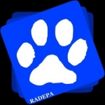 Radepa