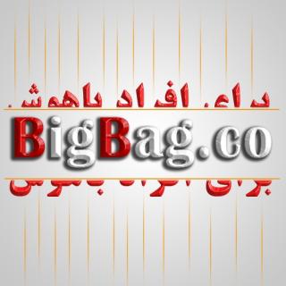 فروشگاه اینترنتی بیگ بگ