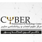 مرکز علوم اعصاب و روانشناسی سایبر