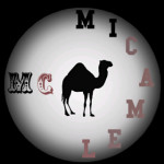 mi_camel