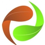 رویشگر