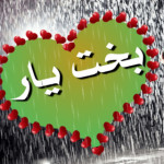 دل سرا