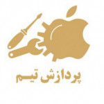 پردازش تیم