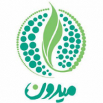 میدون