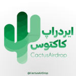 معرفی و آموزش ایردراپ / CactusAirdrop