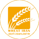 wheat iran