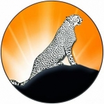 شرکت کمباین سازی زرین بوجار خراسان رضوی