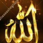 اللهم صلی علی محمد و آل محمد و عجل فرجهم