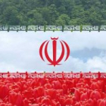 نوشین