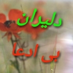 دلیران بی ادعا