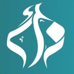 شبکه اینترنتی زائر