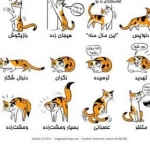گروه پسر خوانده