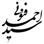 احمد فنونی