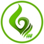 گروه هنری پیچک
