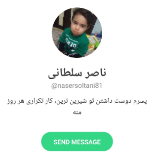 ناصر سلطانی