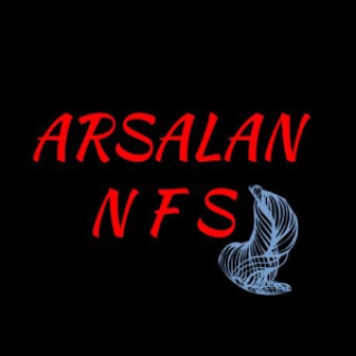 ARSALAN_NFS