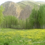 سرزمین زیبایی ها