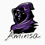 Aminsa