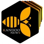 کندو نیوز