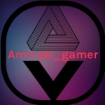 amir.ali_gamer
