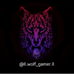 ll.wolf_gamer.ll