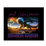 Gamer Dragon Basha