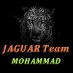 JAGUAR TEAM