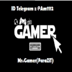 (MrGamer(ParaZiT