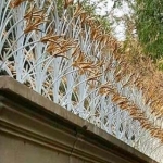 حفاظ برتر hefazbartar.com