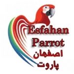 esfahanparrot
