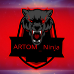 ARTOM_Ninja