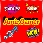 Amir. Gamer