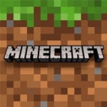 D. minecraft