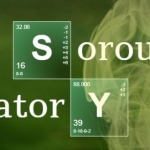 soroush laboratory