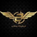 هیرمان گشت
