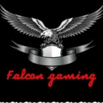 Falcon gaming