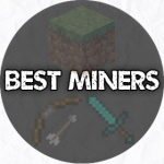 Bestminers
